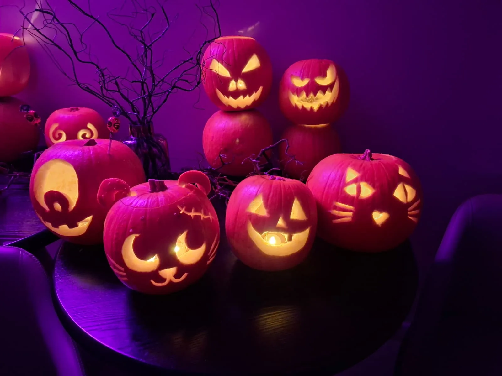 Close-up of glowing jack-o'-lanterns with cat and classic faces, lit up in purple light